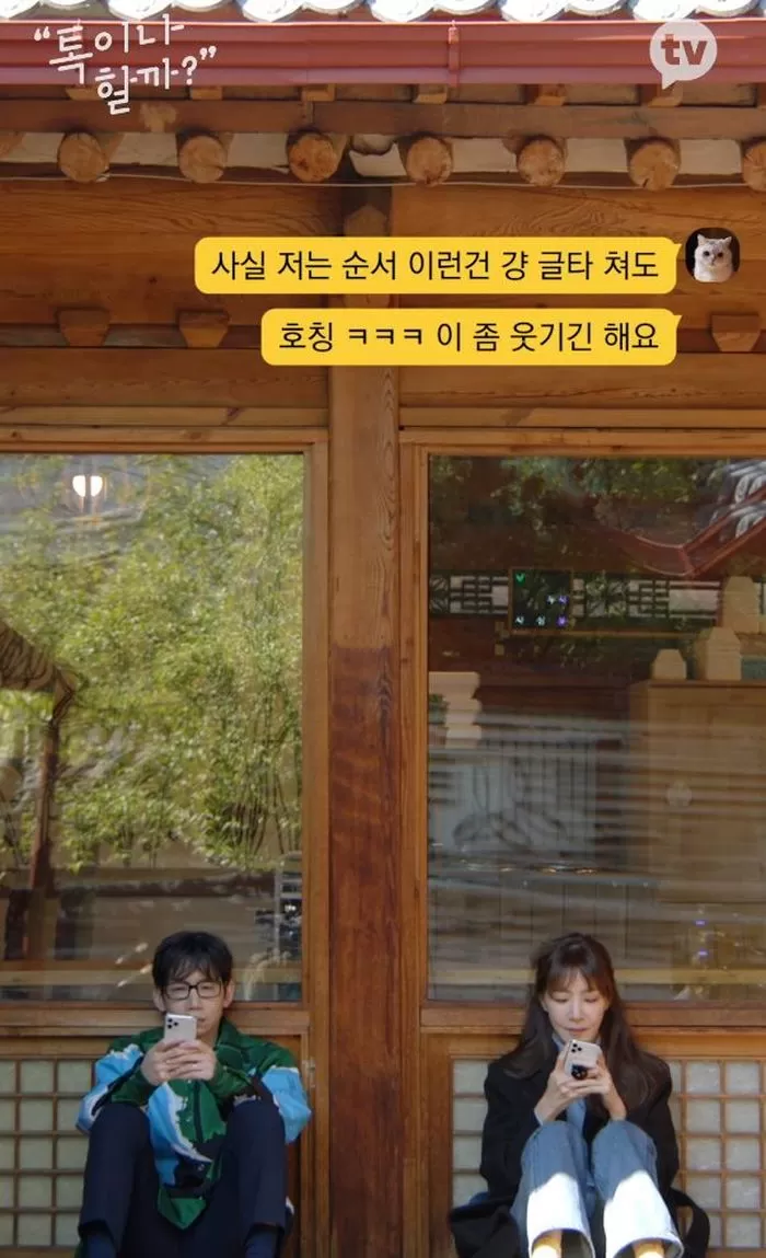 인사이트