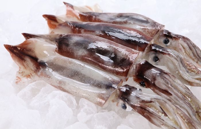 ‘울릉도 오징어’ 싹쓸이하려고 한반도 빙 돌아서 동해까지 점령한 中 불법 어선들