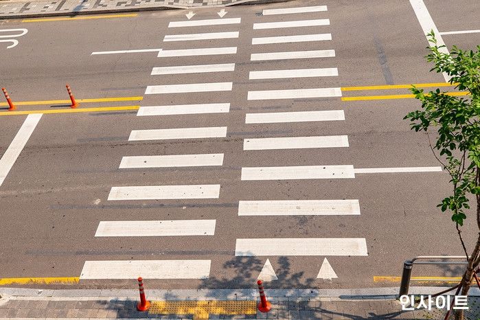 4세 딸과 횡단보도 건너던 엄마, ‘눈 수술’한 운전자 차에 치여 사망