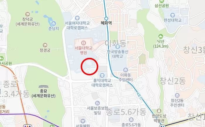 인사이트