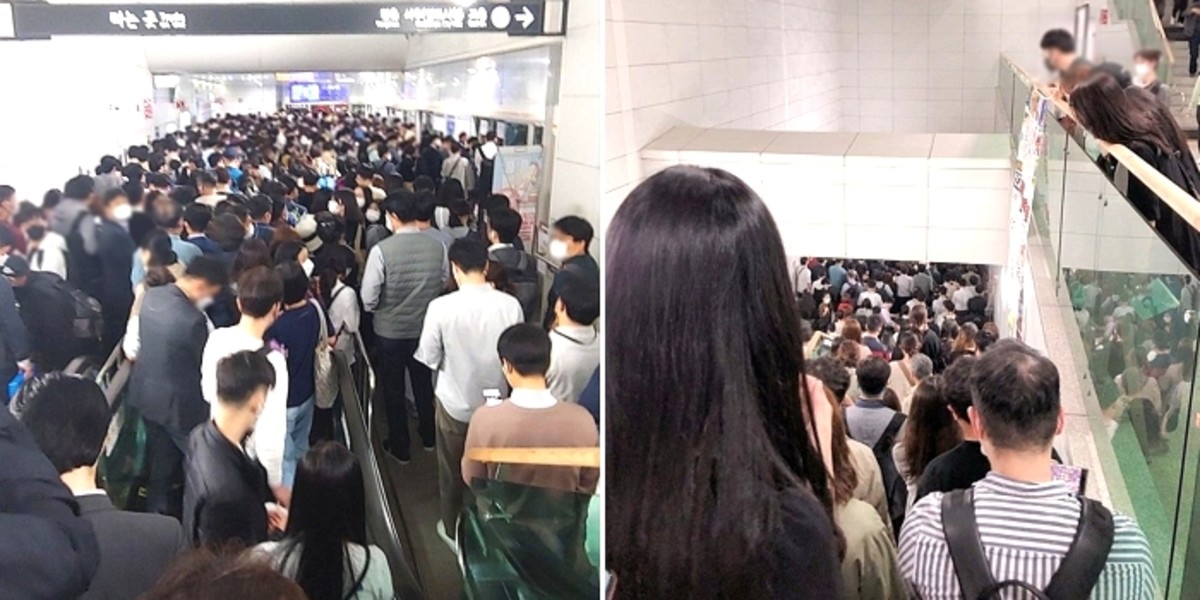 골드인사이트 이미지