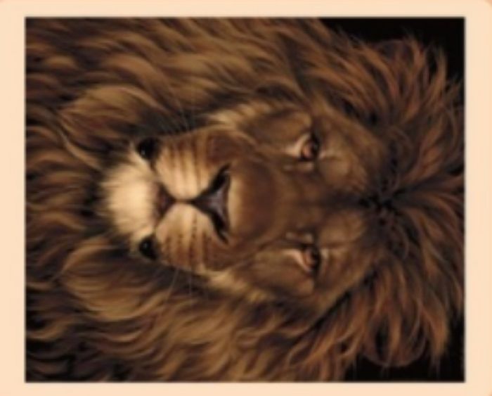 그림에서 사자가 아니라 ‘이 동물’이 먼저 보이면 당신은 이성한테 ‘매력만점’이다