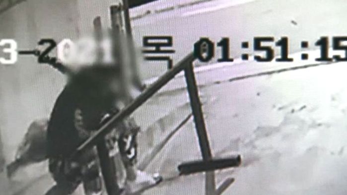 강남 주택가서 나체로 ‘진검’ 들고 칼부림한 두 명의 남성 (영상)