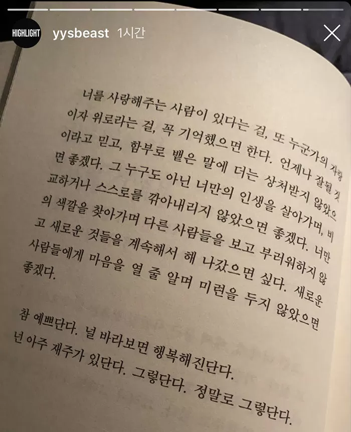 인사이트