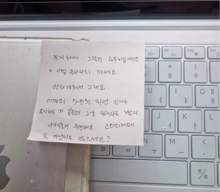 인사이트