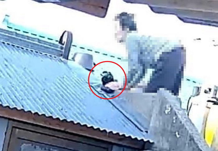 아기 길고양이 사체 절단해 지붕에 던지며 “밥 주지 말라”고 협박한 노인