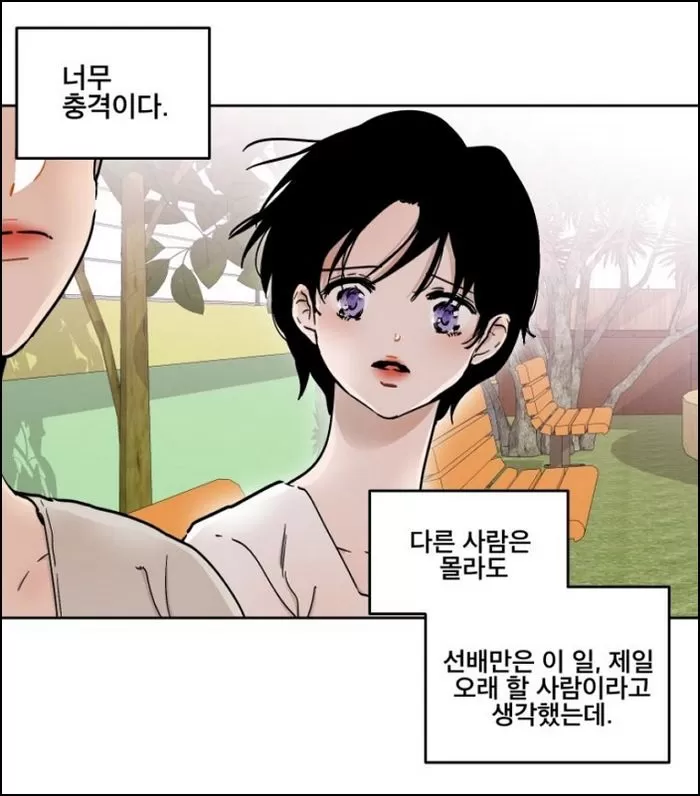 인사이트