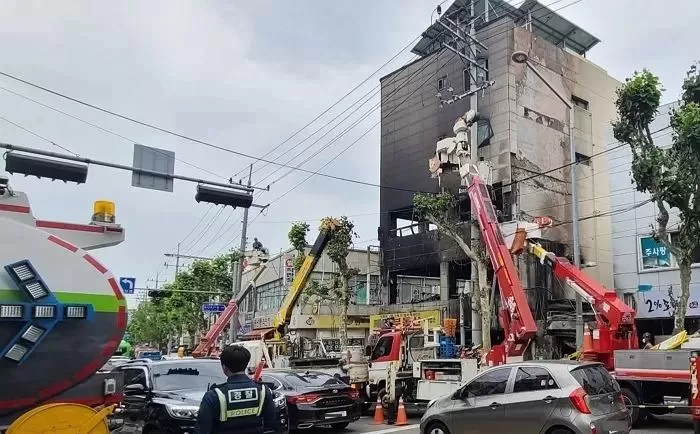 인사이트