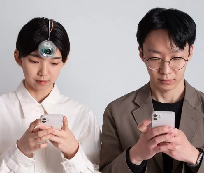 인사이트