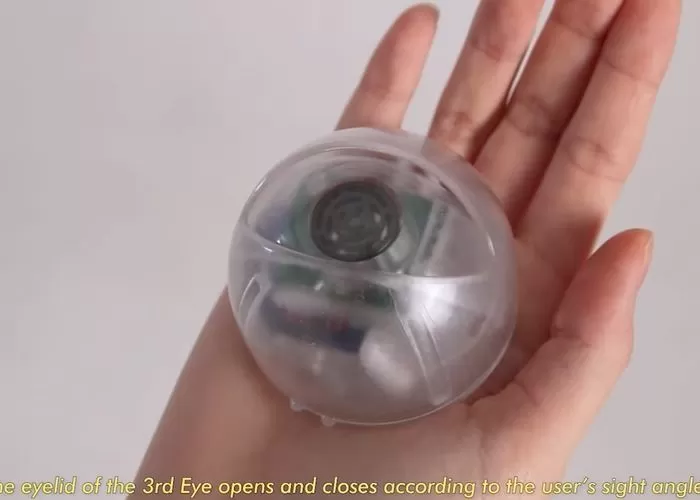 인사이트