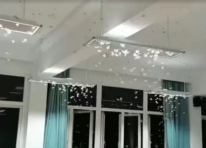 인사이트