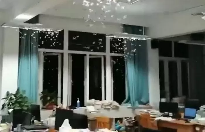 인사이트