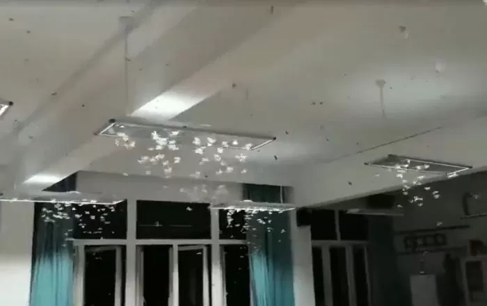 인사이트