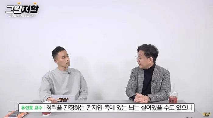 인사이트
