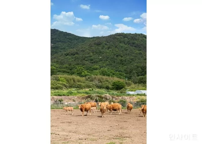 신촌축산유통 이미지