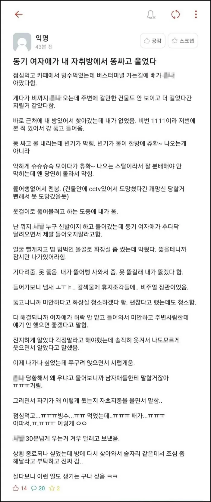 인사이트