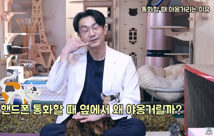 냥이가 전화할 때마다 ‘야옹’거리는 이유는 집사가 혼잣말하는 줄 알고 대답해주는 거다