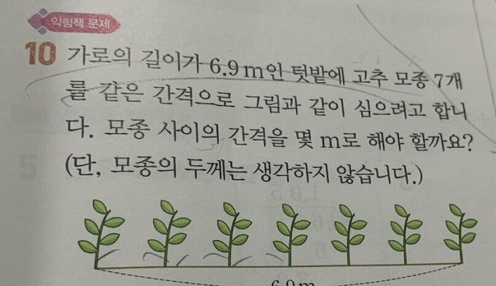 “6.9m 텃밭에 고추 모종 심으면”···남혐 의혹 제기된 초등학교 수학 문제집
