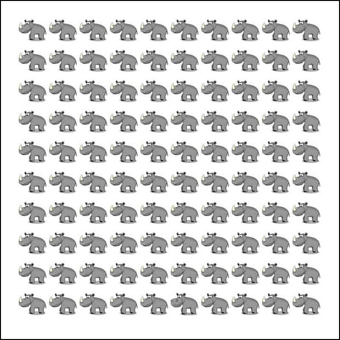 “코뿔소 사이에서 하마를 찾아라”...100명 중 눈썰미 좋은 4명만 통과한다는 시력 테스트