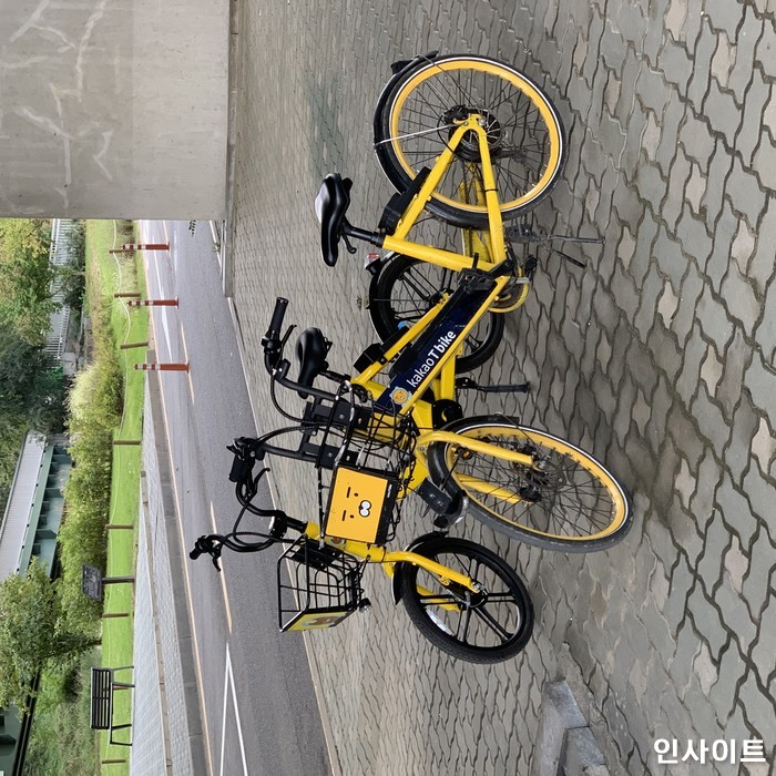 인사이트 / 사진=인사이트