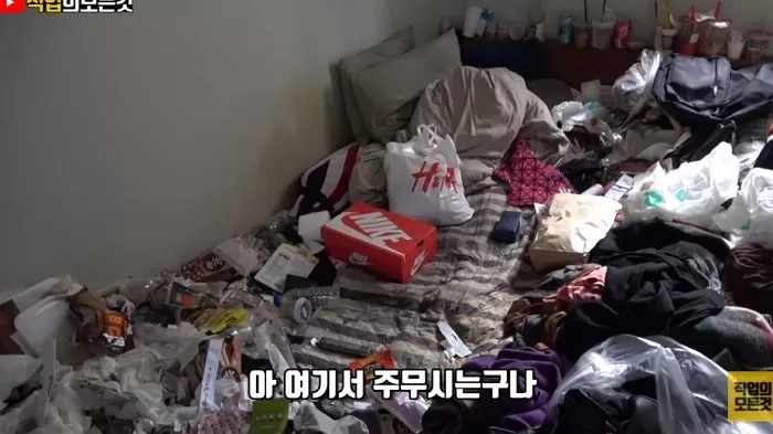 인사이트