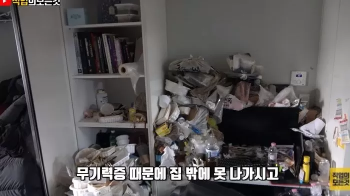 인사이트