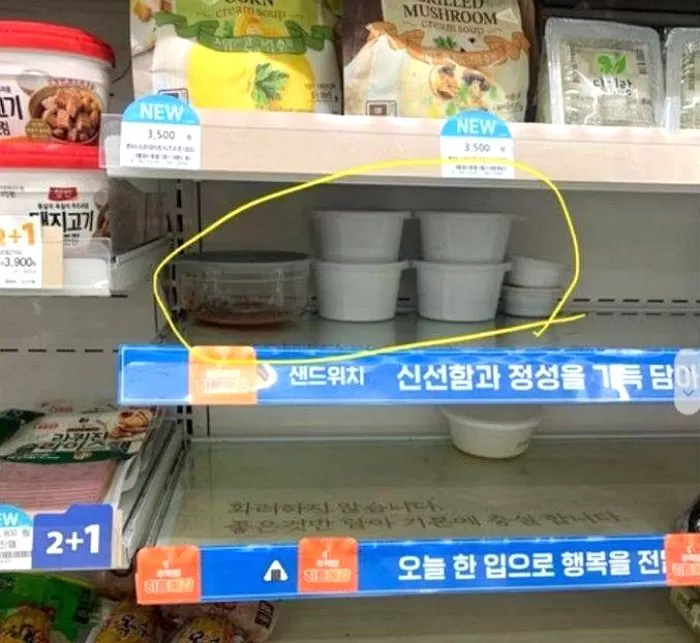 인사이트