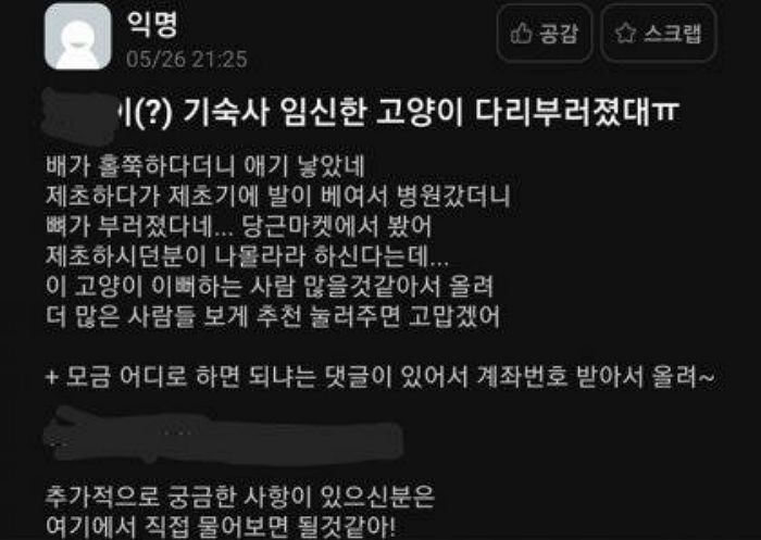 제초기로 풀 베다 실수로 길냥이 다리 부러뜨린 직원···“책임 없다 VS 병원비 내야”