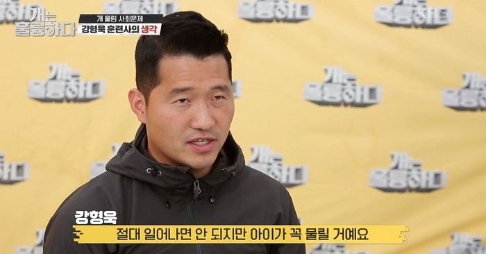 “지자체가 안락사 시켜야”…남양주 들개 물림 사고에 ‘소신 발언’한 강형욱