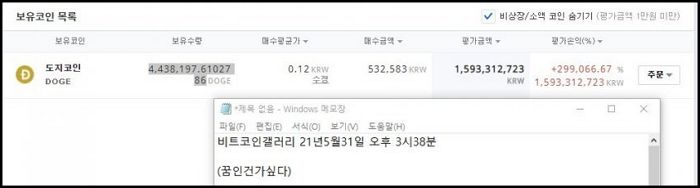 5년 전 ‘야동’ 보려 도지코인 샀다가 ‘15억’ 번 투자자의 인증샷