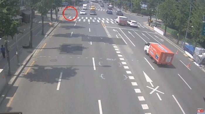 목줄 풀려 차로로 뛰쳐나온 강아지 친 차주한테 ‘위자료·치료비’ 배상 명령한 법원