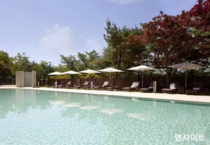 라한호텔 그룹, 현대홈쇼핑 방송 1시간만에 8000실 판매... 매출 12억 돌파