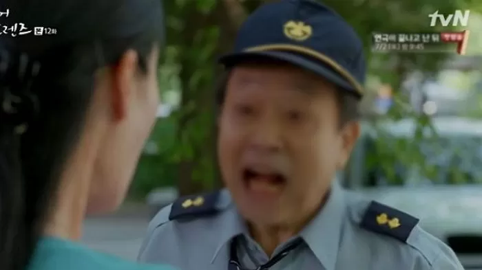 인사이트
