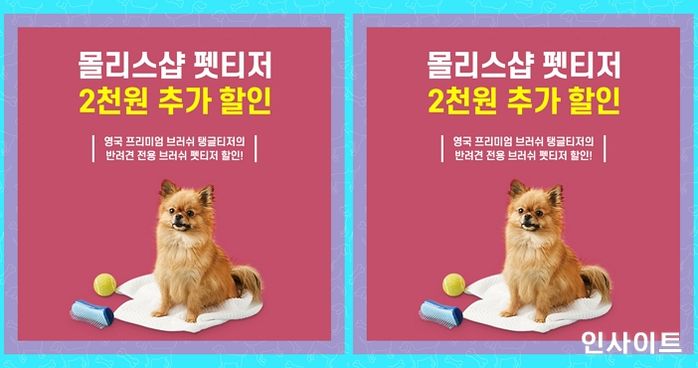 펫티저, “전국 몰리스펫샵에서 만나보세요”
