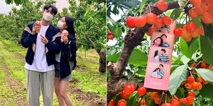 새콤달콤체리농장 이미지