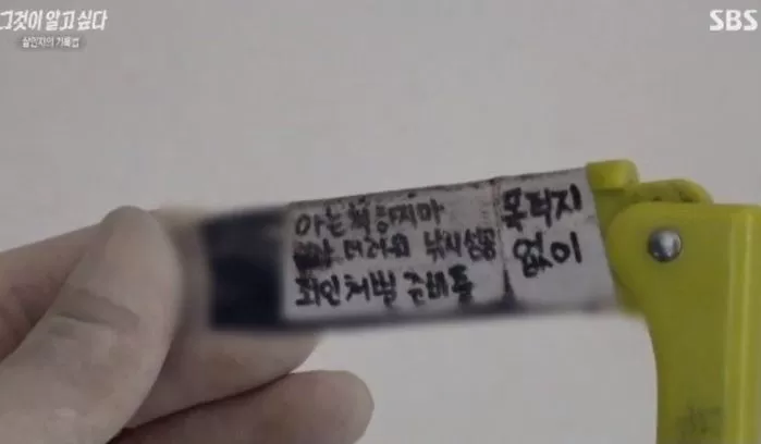 인사이트