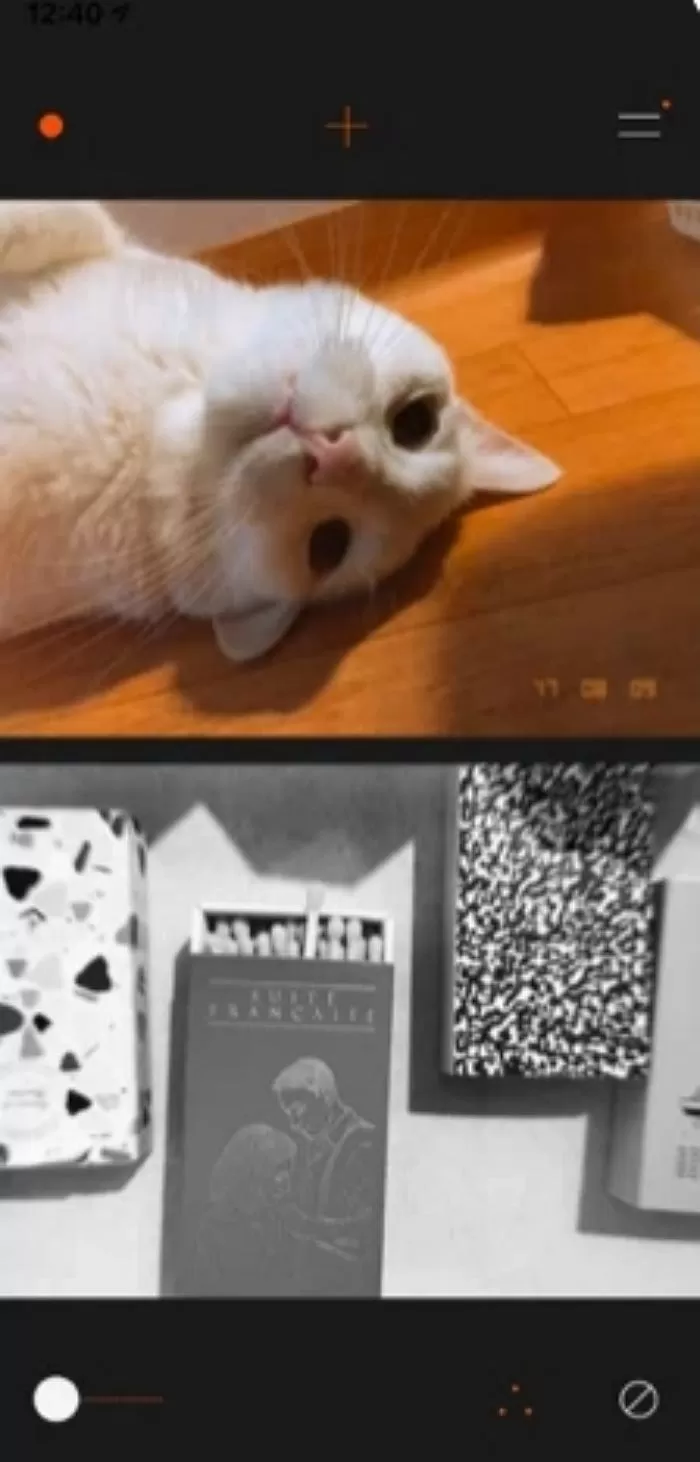 인사이트