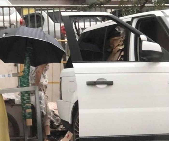 경기 구리서 1억짜리 SUV ‘레인지로버’ 타고 다니며 폐지 줍는 할머니의 정체