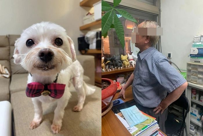 “어디 고발해봐!”…중성화 하러 간 반려견 실수로 죽여놓고 나 몰라라 외면한 수의사