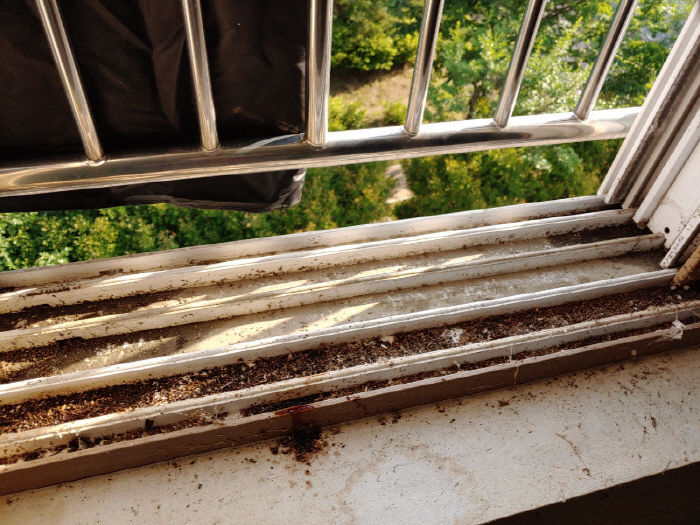 월세 내준지 단 3개월 만에 쓰레기장 된 ‘원룸’의 충격적인 상태 (사진 11장)