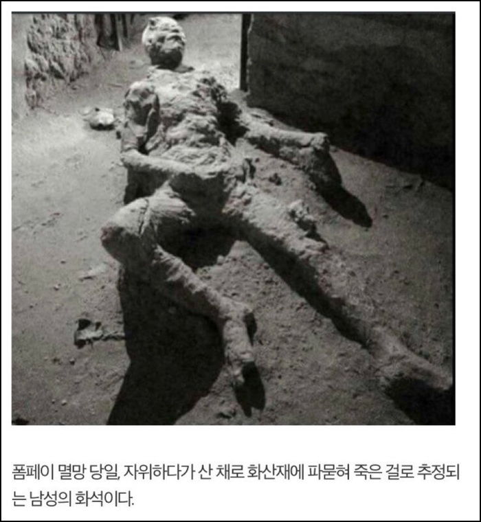 “마지막 XX하다 화석으로 박제됐다”는 폼페이 화석의 슬픈 진실