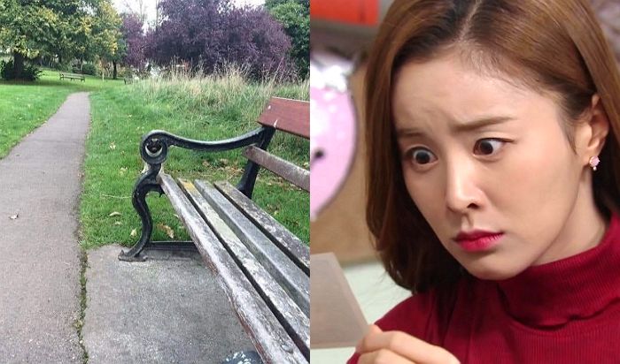 관찰력 없는 사람은 5분 줘도 못 찾는다는 ‘숨은 댕댕이 찾기 테스트’