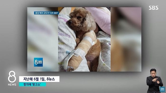 “동물병원이 반려견을 하루에 170회 치료했다며 ‘3천만원’을 청구했습니다”