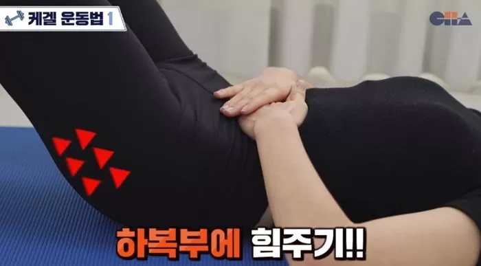 인사이트