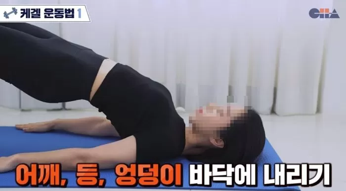 인사이트