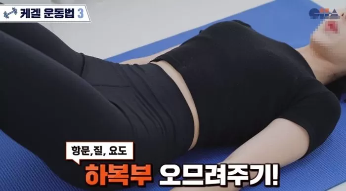 인사이트