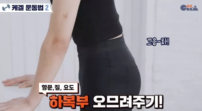 인사이트