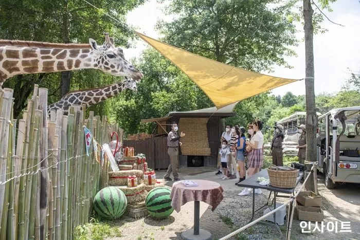 에버랜드, ‘세계 기린의 날’ 맞아 고객들과 기린 보호 활동