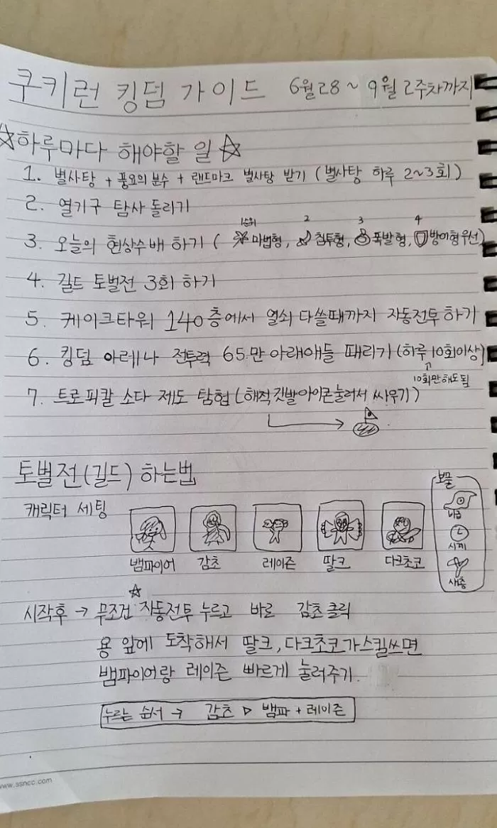 인사이트