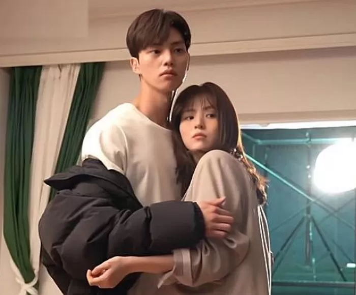 인사이트